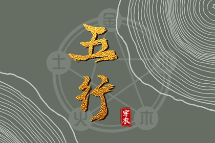 易百查紫微排盘,命盘详细解释,排盘紫薇